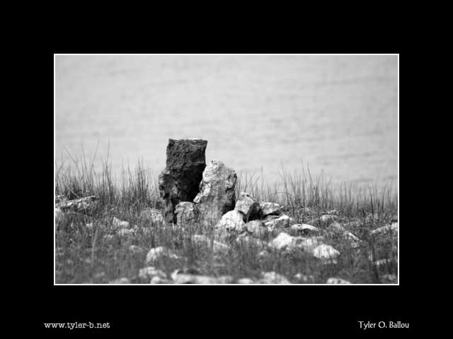 Folsom Lake Rocks - B&W
