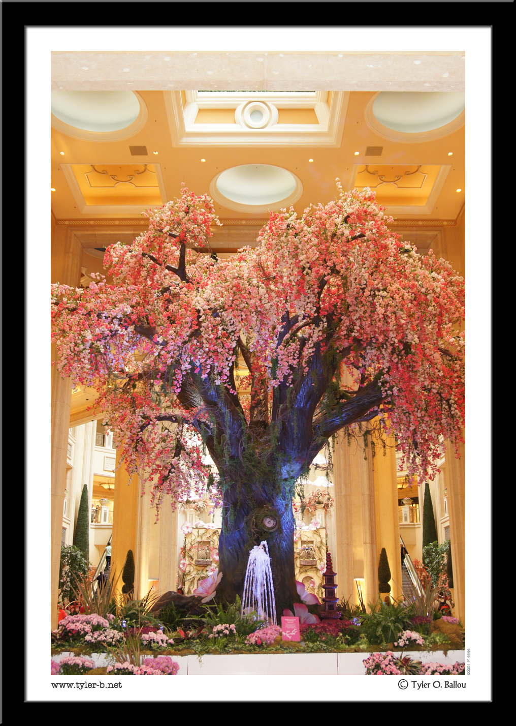 Art Tree 02 - Las Vegas, NV - 2013
